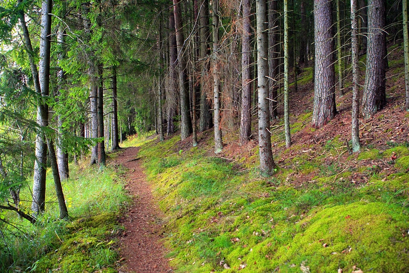 karula_pikal_jalgsimatkarajal_5_large.jpg