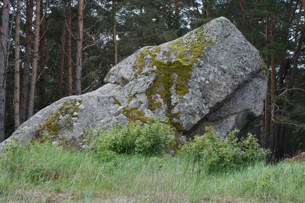 Rändrahn
