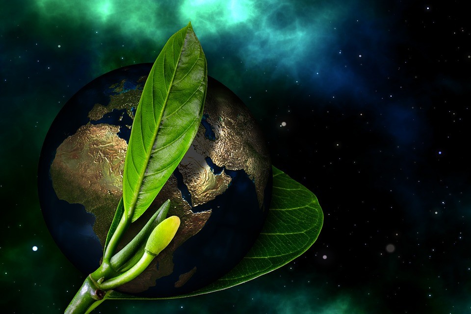 earth-2220978_960_720.jpg