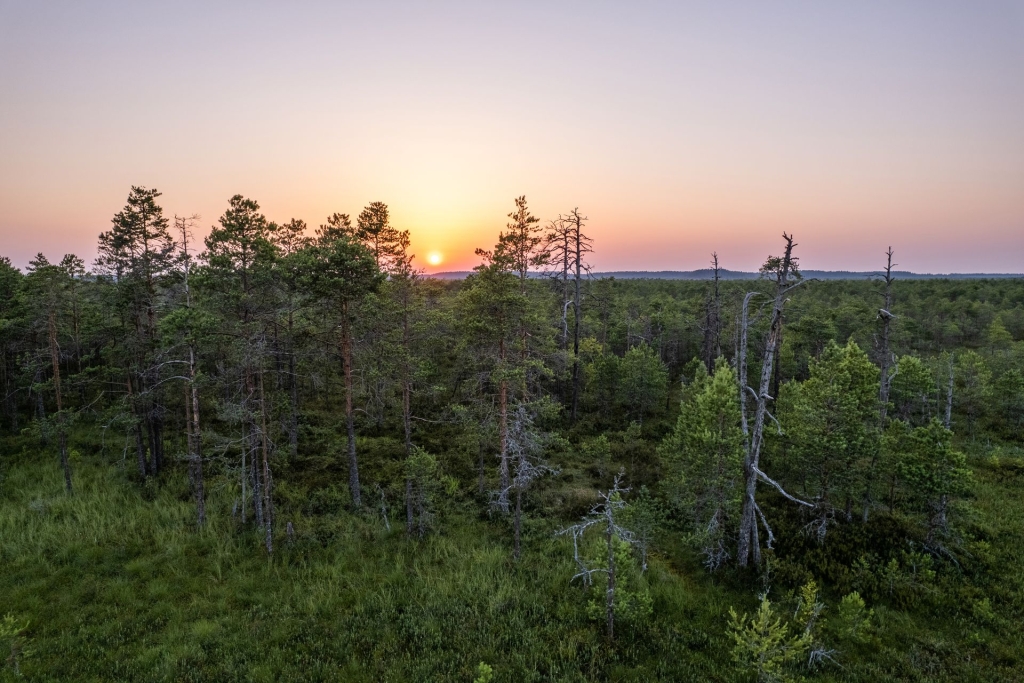 259067-emajoe-suursoo-bog-hike-web-version-1920px.jpg