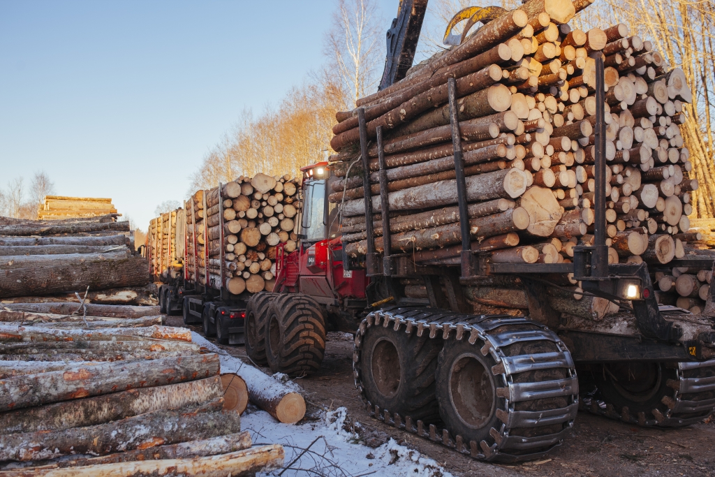 253485-forwarder-loading-logs.jpg