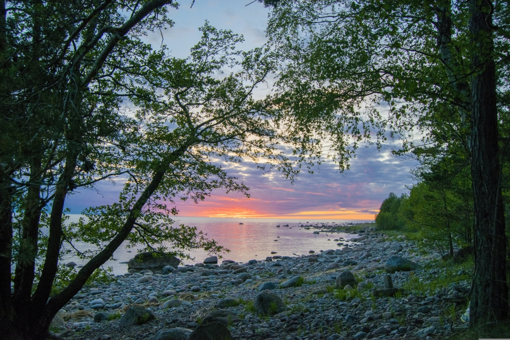 Henry_Murumaa_Pärispea_Pixabay.com