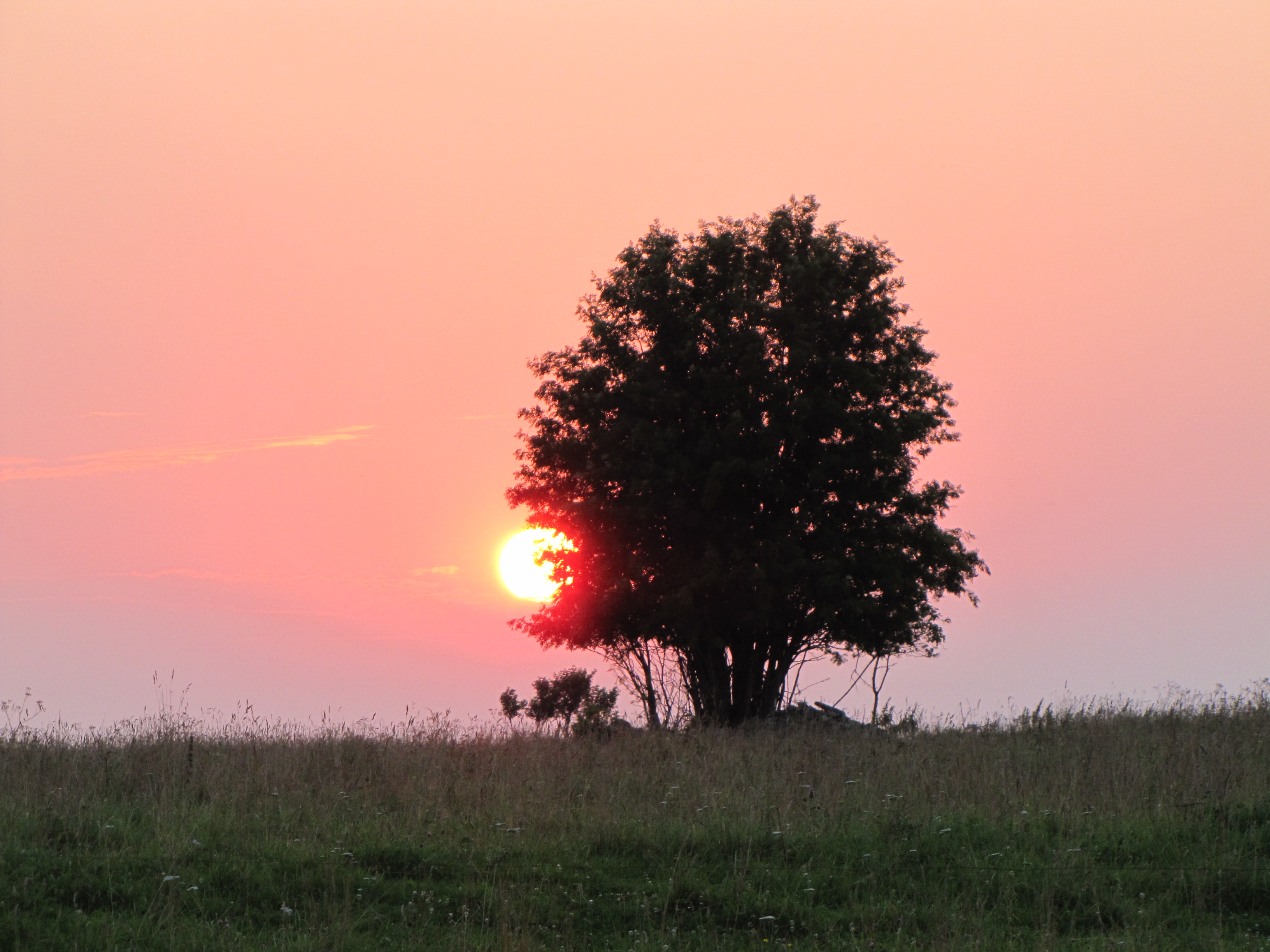 2012_07_28_043.jpg