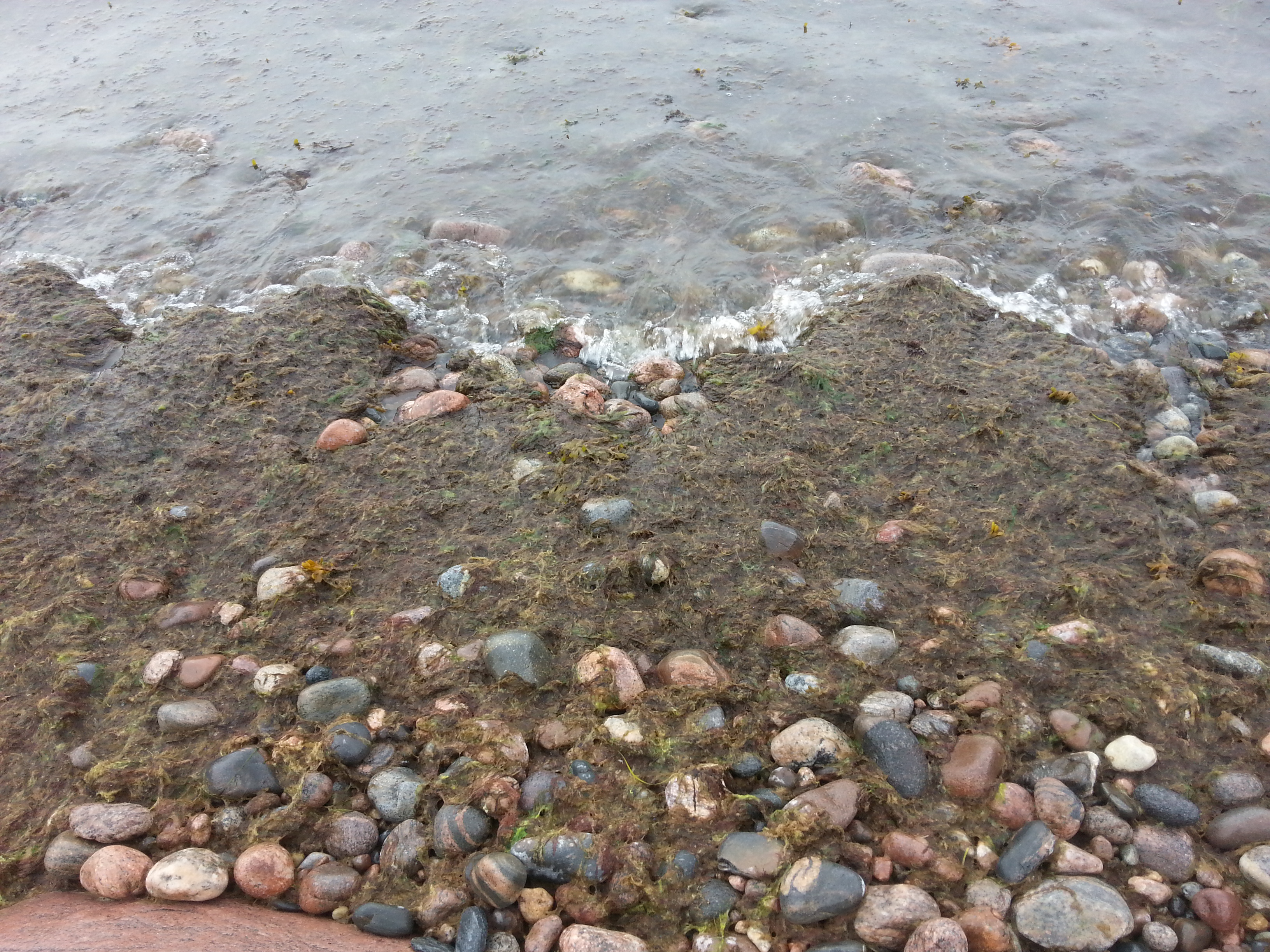 2014-06-19_18.18.38.jpg