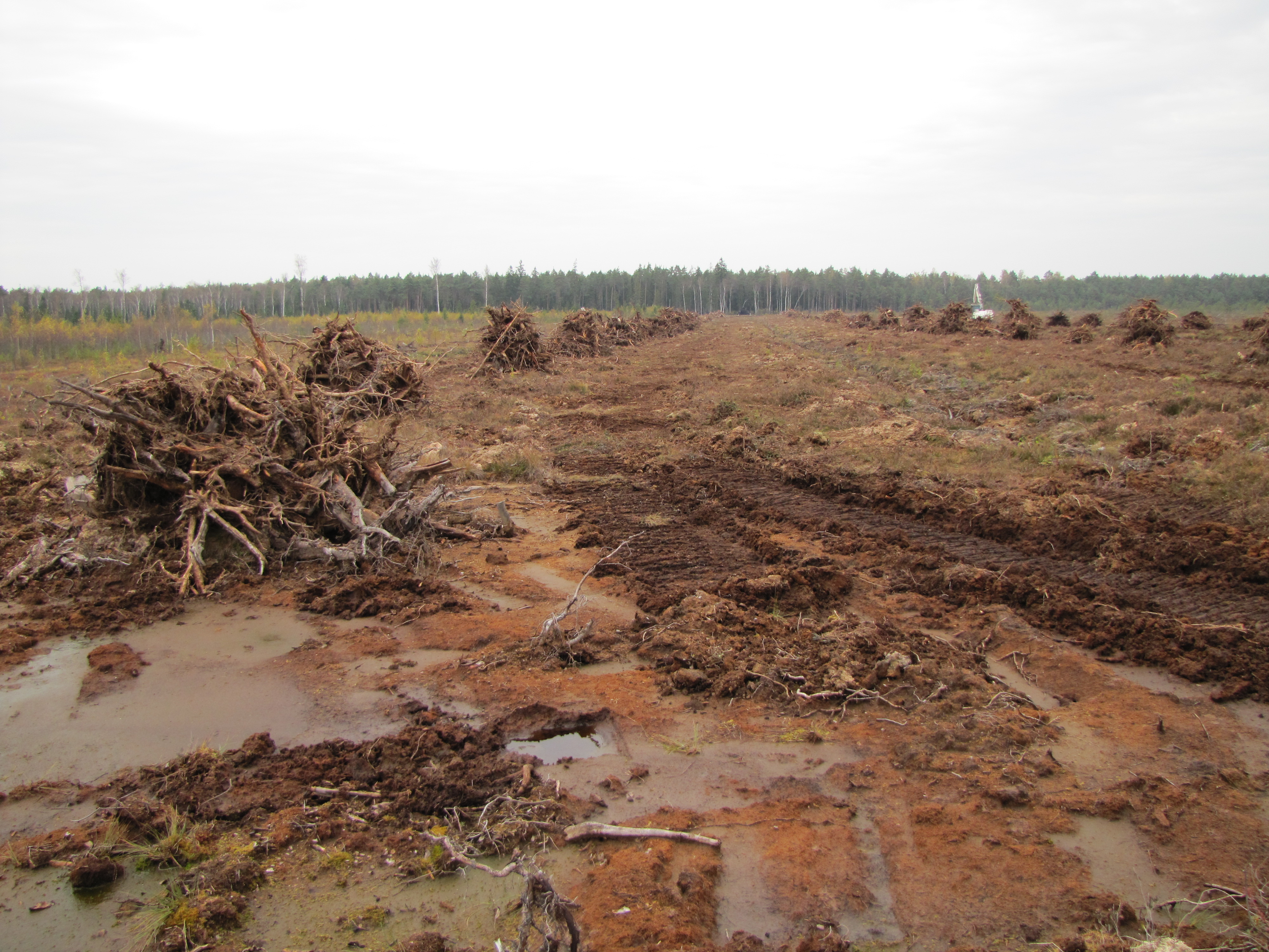 20141008_1332.jpg