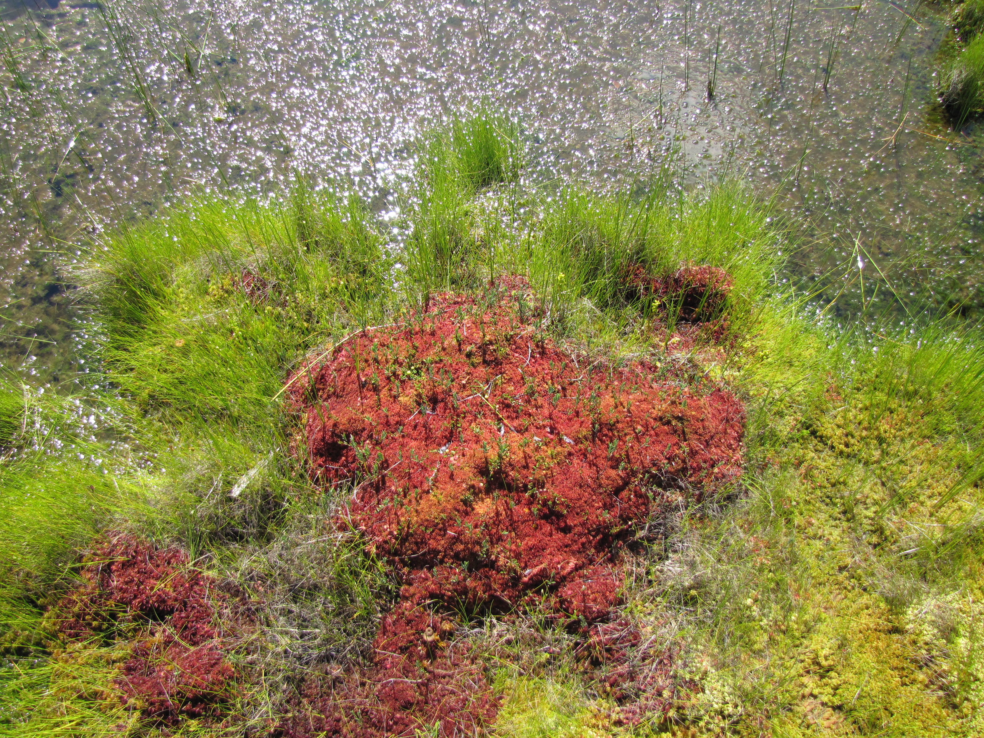 20150721_6360.jpg