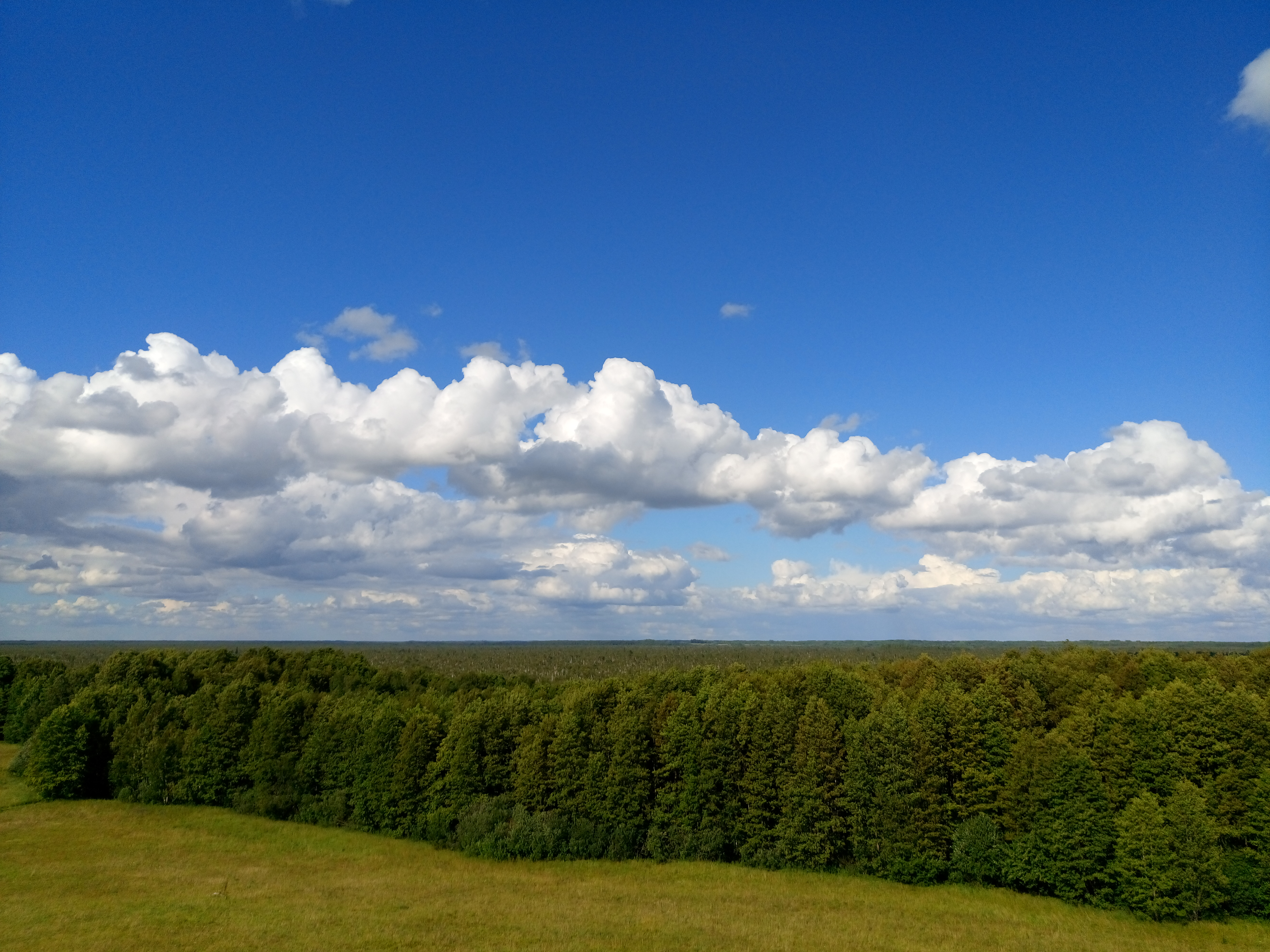 2016-08-02_16.53.59.jpg