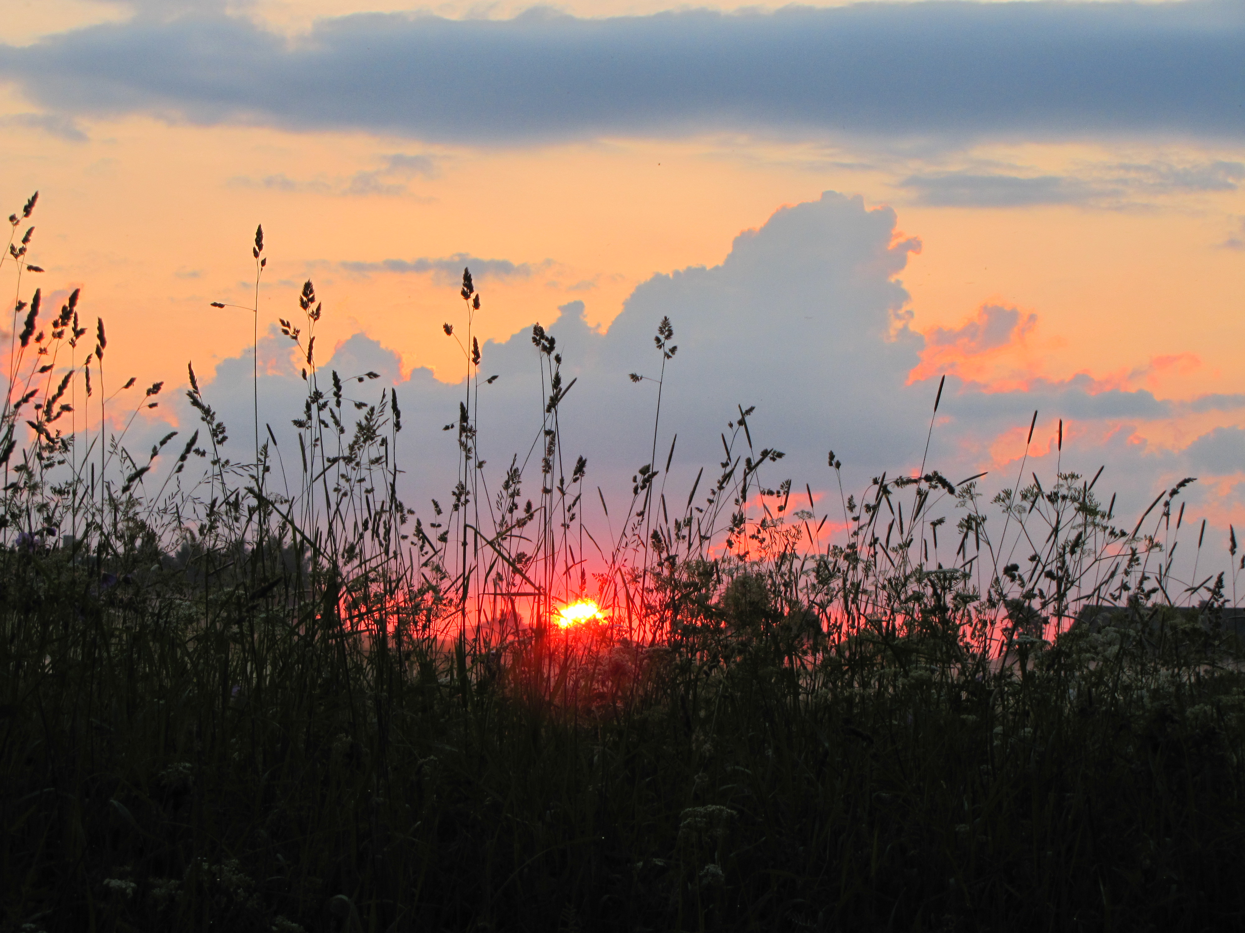 20160625_5557.jpg