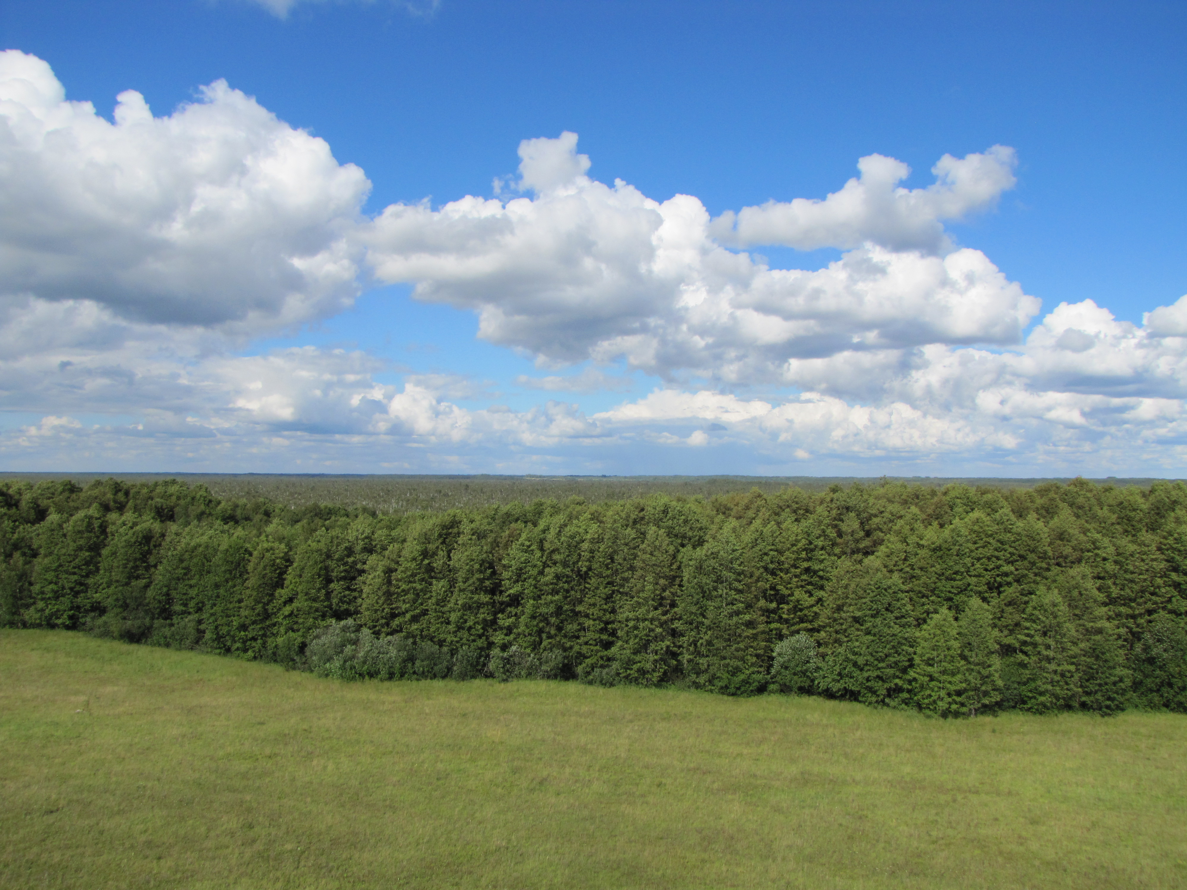 20160802_6956.jpg