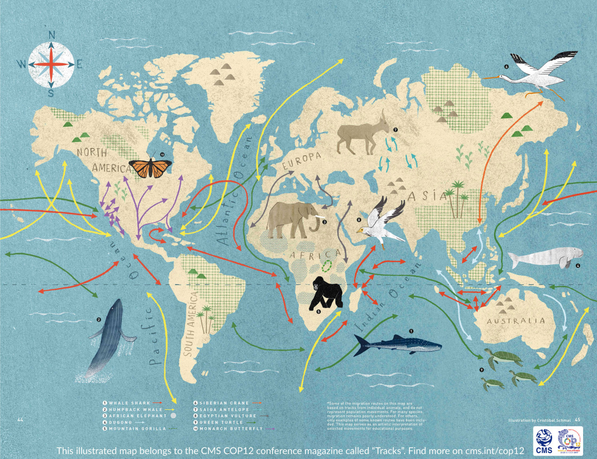 cms_cop12_-_global_illustrated_map_of_animal_migrations.jpg