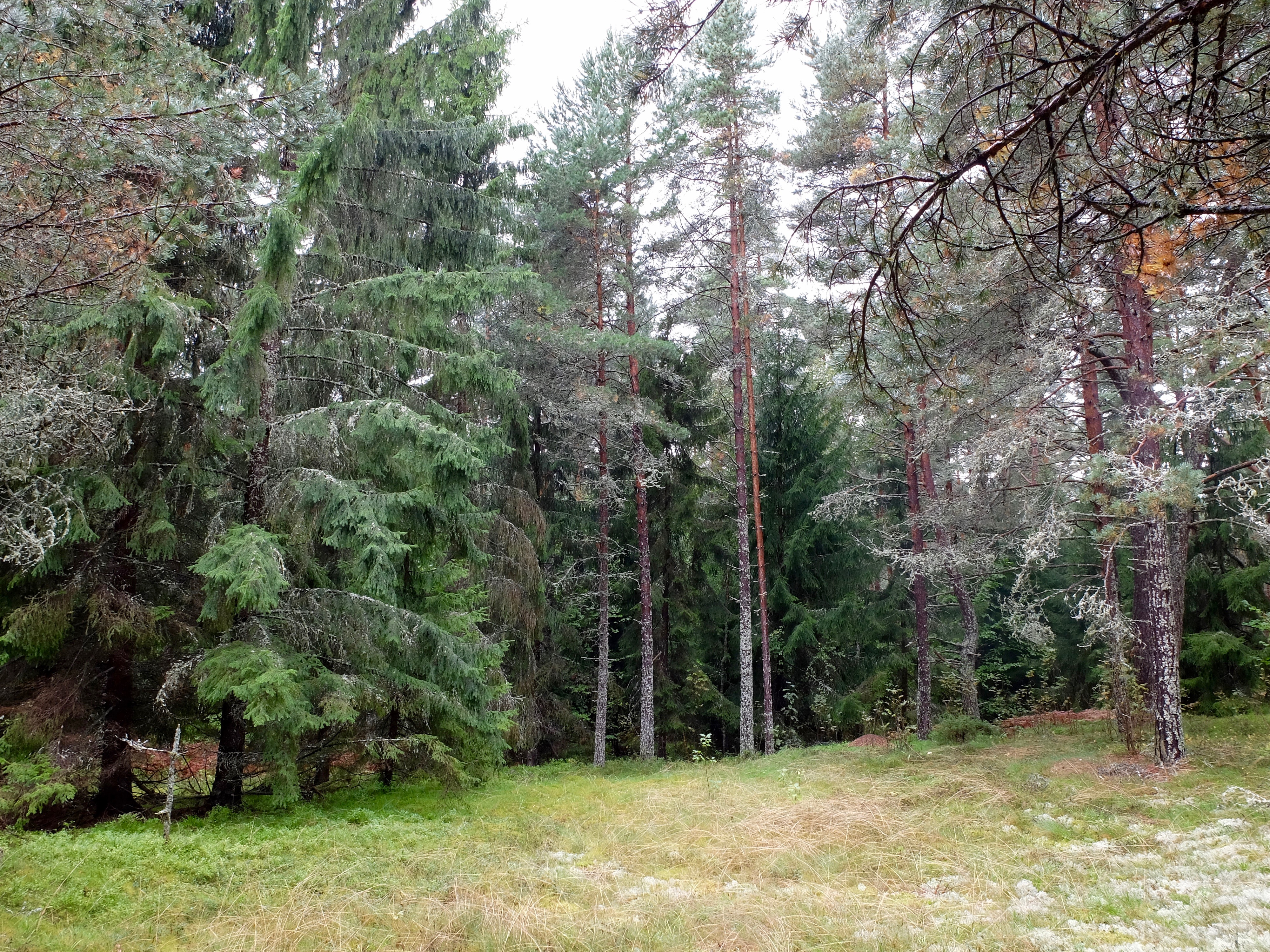 dscf2134.jpg