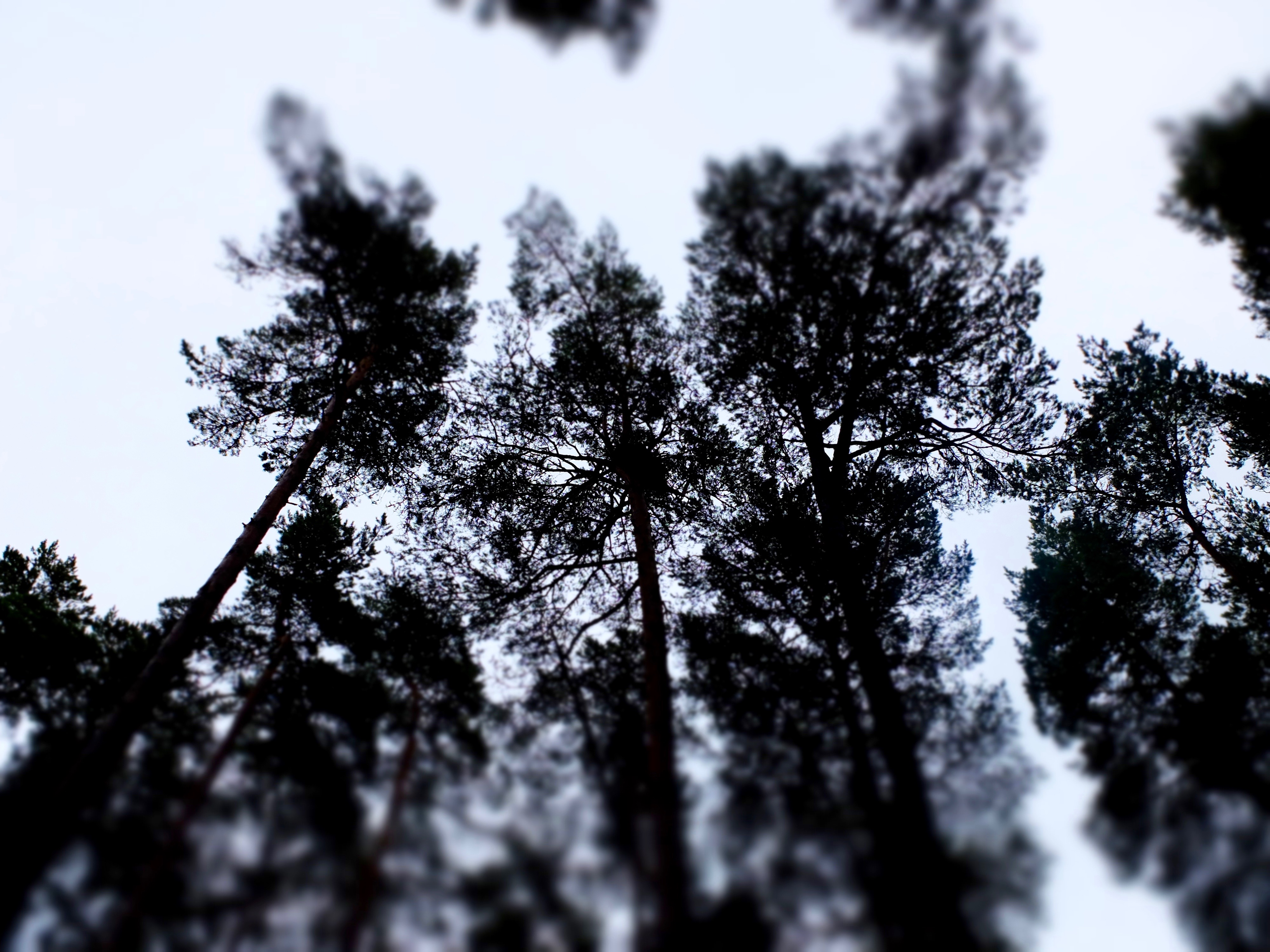 dscf2147.jpg