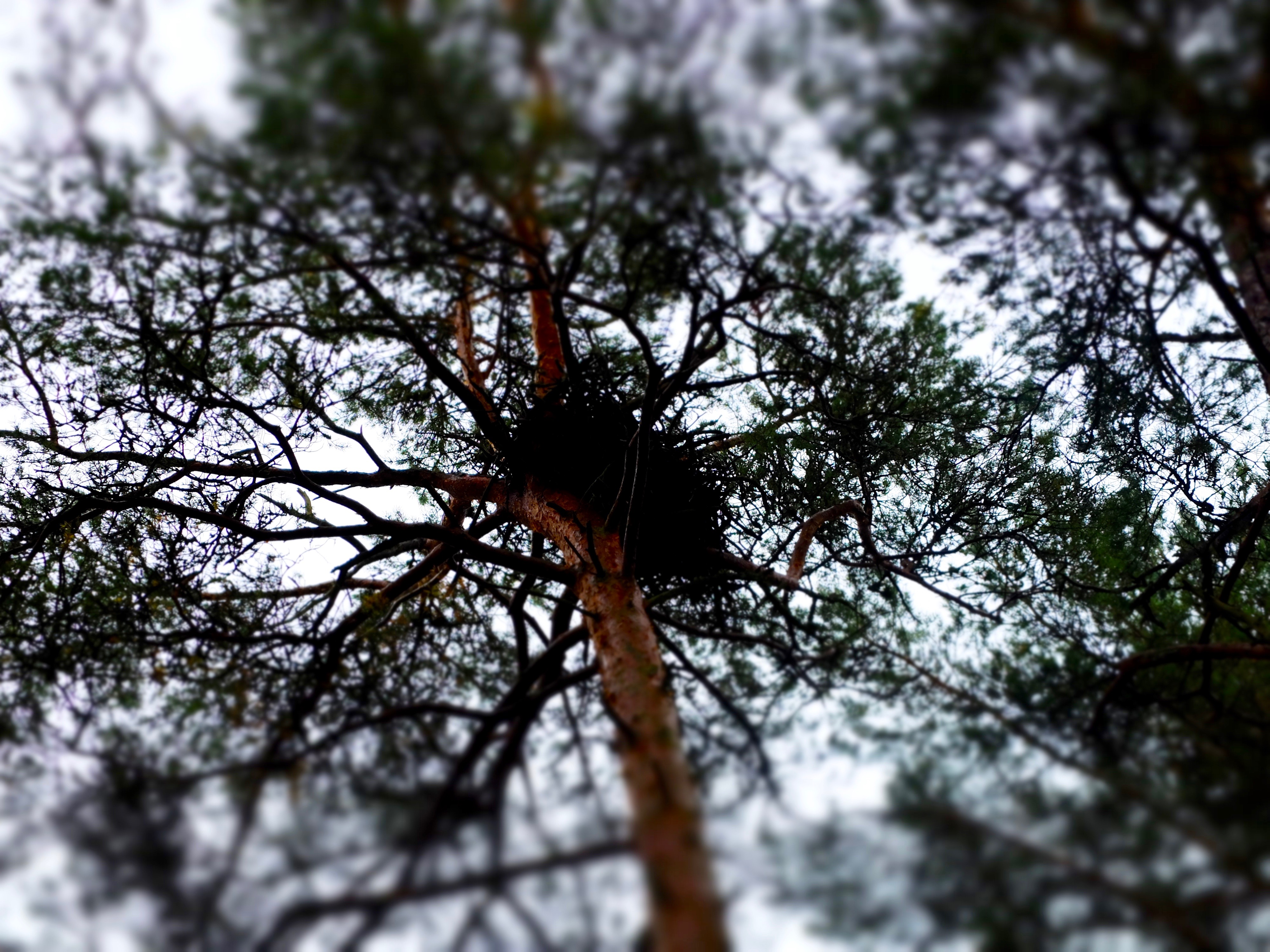 dscf2148.jpg