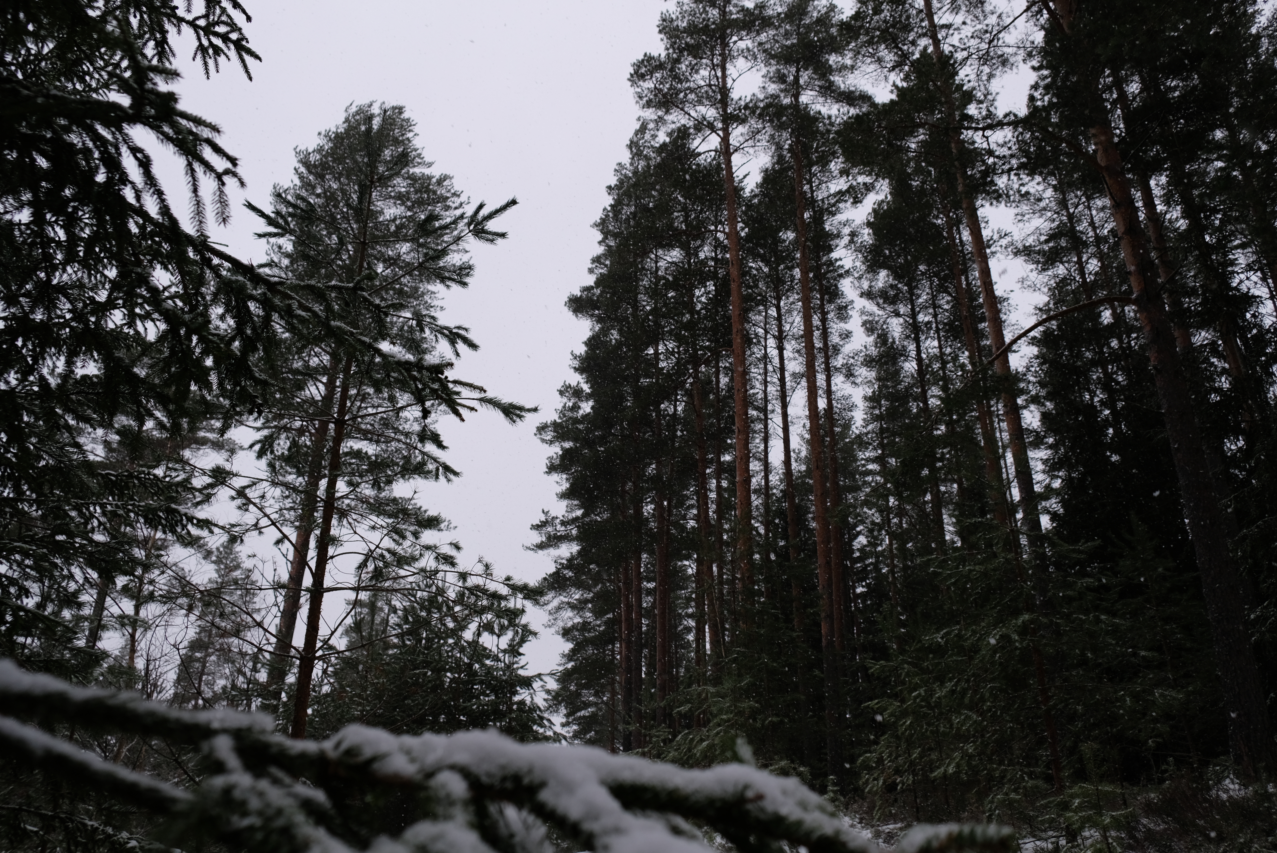 dscf2577.jpg