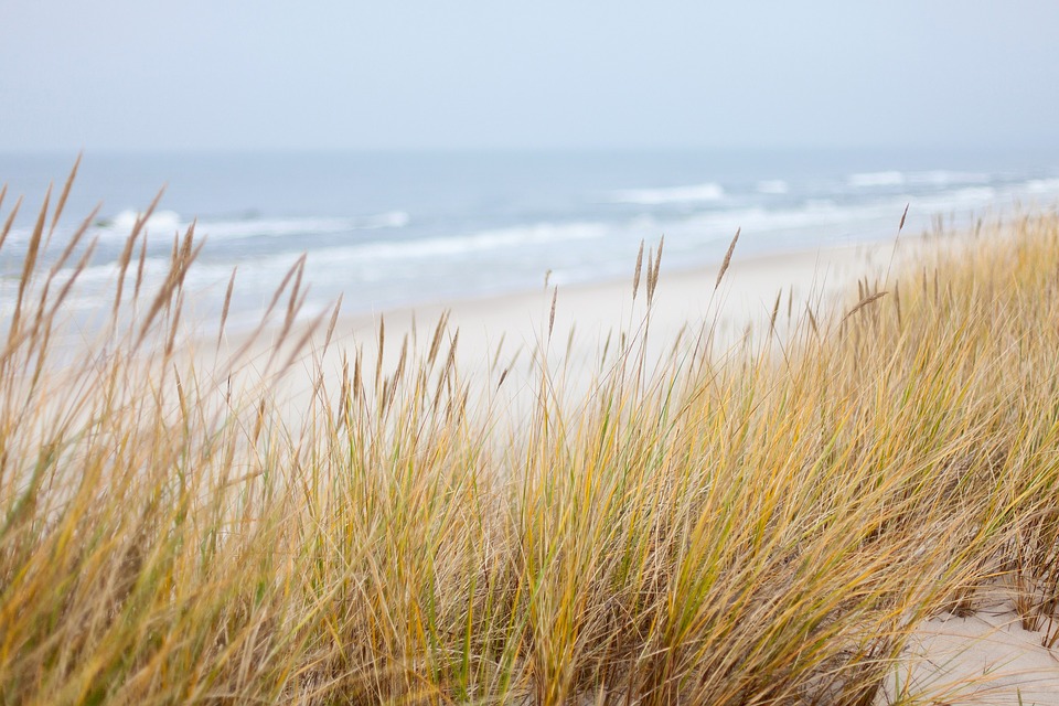 dunes-1936086_960_720_0.jpg