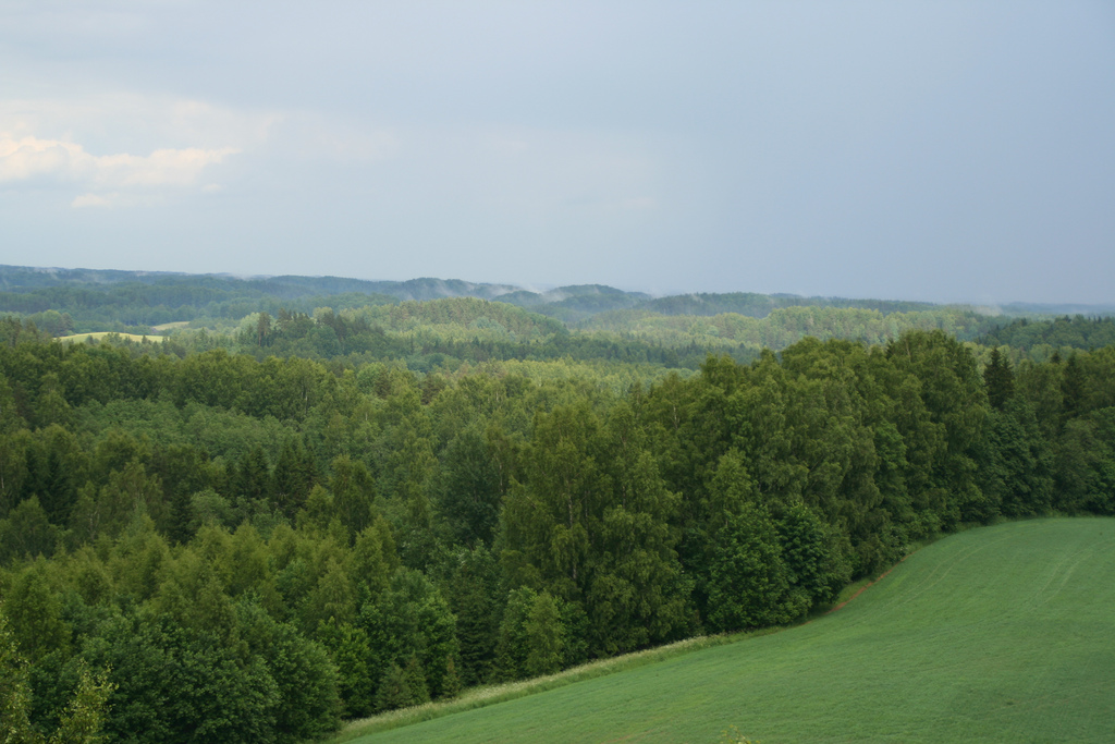 karula_metsad_linnamagi.jpg