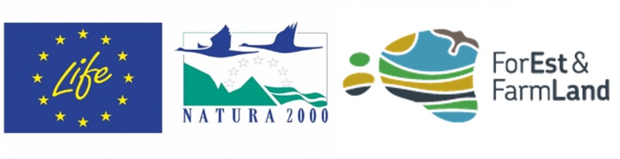 logo2.jpg