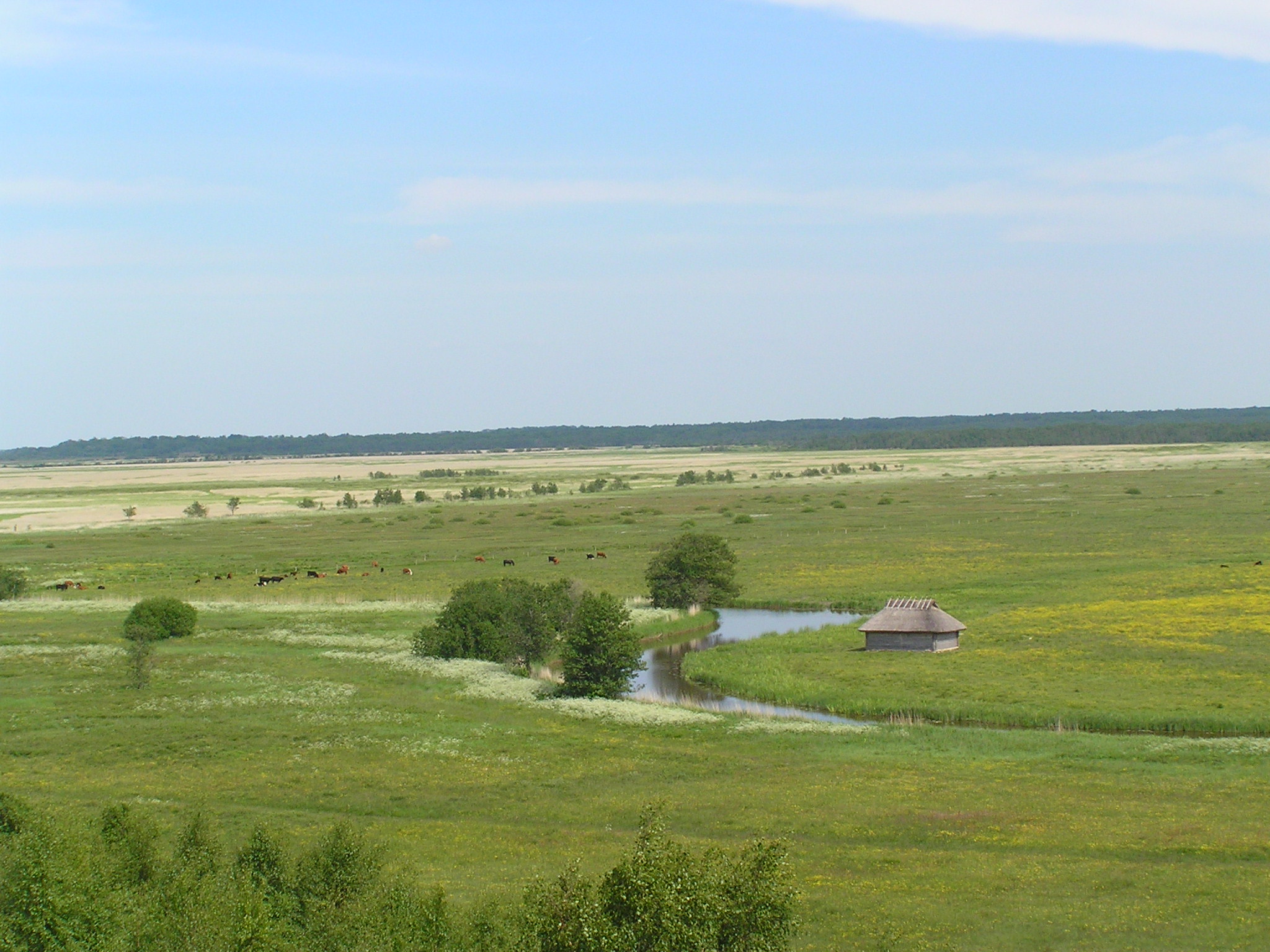 matsalu_national_park.jpg
