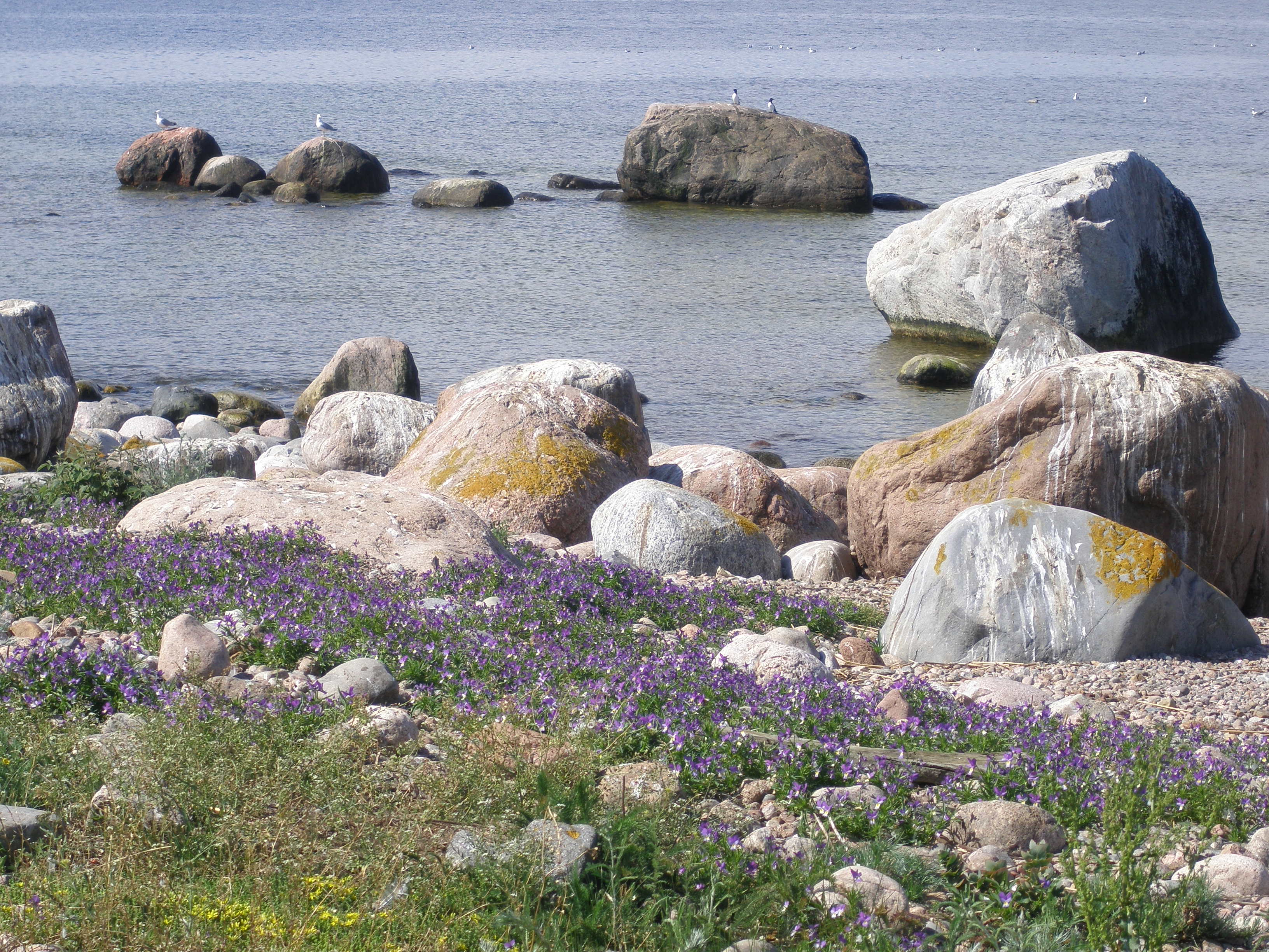 p1010019.jpg