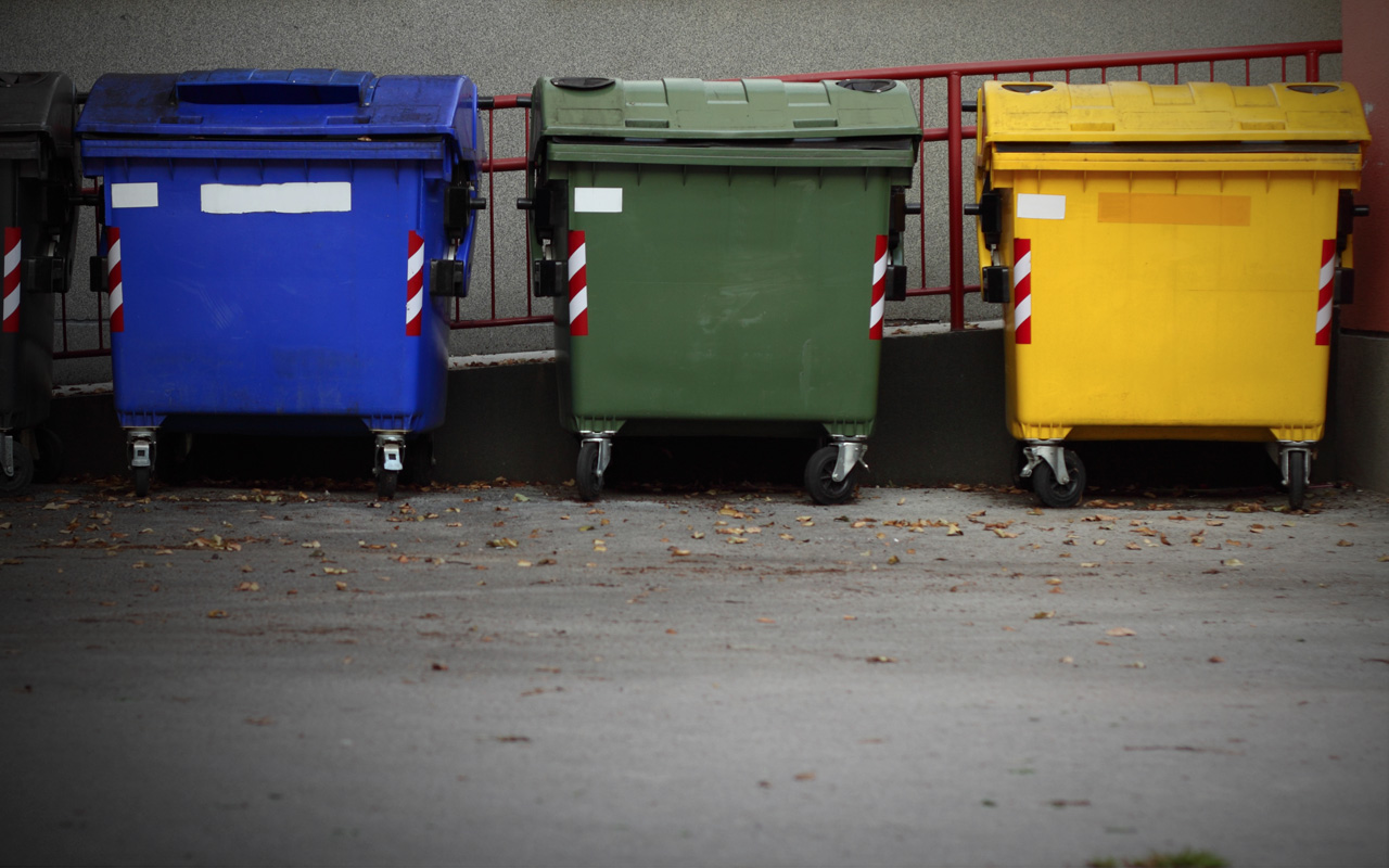 prygikastid_0.jpg