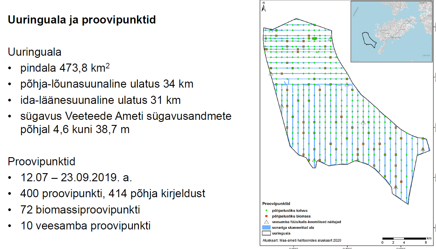uuringuala.png