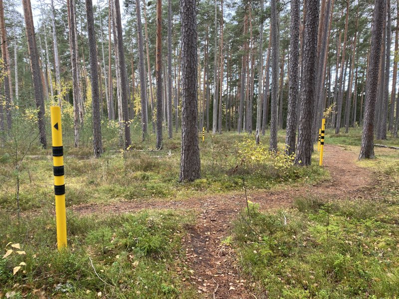 varskelt_paigaldatud_ohuala_tahised_pohja-korvemaa_looduskaitsealal_paukjarve_aares._foto_riina_kotter.jpeg