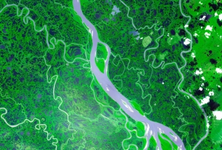 Mets satelliidilt vaadatuna